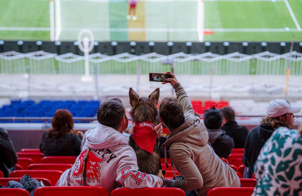 Un Match de Wouf réussi au Groupama Stadium